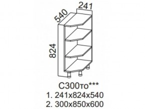 С300то Стол-рабочий 300 (торцевой открытый) в Очёре - ochyor.magazin-mebel74.ru | фото