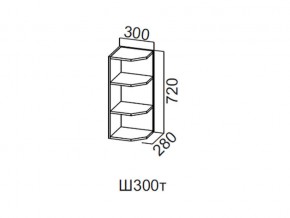 Ш300т/720 Шкаф навесной 300/720 (торцевой) в Очёре - ochyor.magazin-mebel74.ru | фото