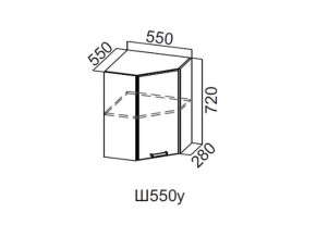 Ш550у/720 Шкаф навесной 550/720 (угловой) в Очёре - ochyor.magazin-mebel74.ru | фото