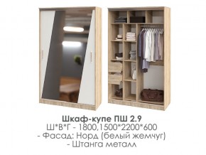 шкаф-купе ПШ-2.9 1500 Норд Белый жемчуг 1500 в Очёре - ochyor.magazin-mebel74.ru | фото