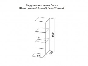 Шкаф навесной (глухой) Левый в Очёре - ochyor.magazin-mebel74.ru | фото