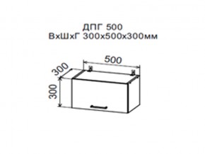 Шкаф верхний ДПГ500 горизонтальный в Очёре - ochyor.magazin-mebel74.ru | фото