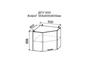 Шкаф верхний ДПУ600 угловой в Очёре - ochyor.magazin-mebel74.ru | фото