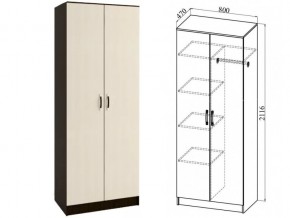 ШКР800.2 Шкаф 2х-створчатый комби в Очёре - ochyor.magazin-mebel74.ru | фото