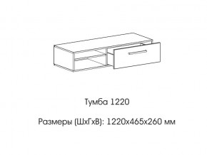 Тумба 1220 (низкая) в Очёре - ochyor.magazin-mebel74.ru | фото