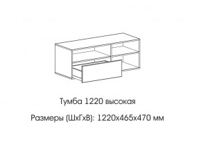 Тумба 1220 (высокая) в Очёре - ochyor.magazin-mebel74.ru | фото